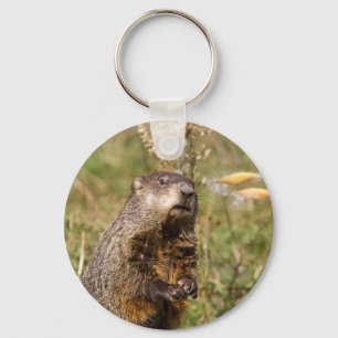 Chaveiro Groundhog