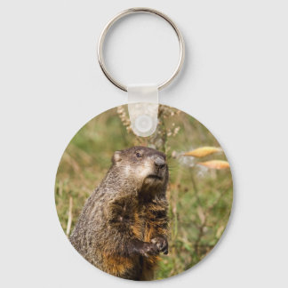Chaveiro Groundhog