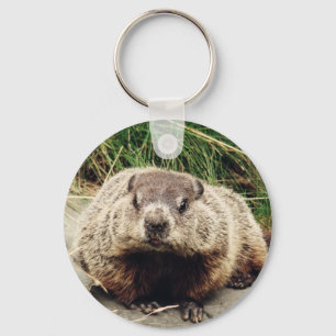 Chaveiro Groundhog