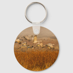 Chaveiro Gruas sobre um campo de ouro