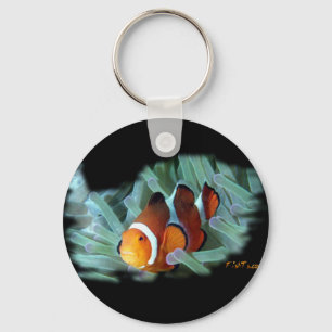 Chaveiro H2Oasis Clownfish