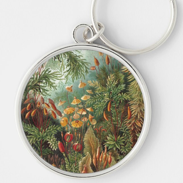 Chaveiro Haeckel (Frente)