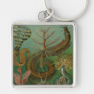 Chaveiro Haeckel Centipedes