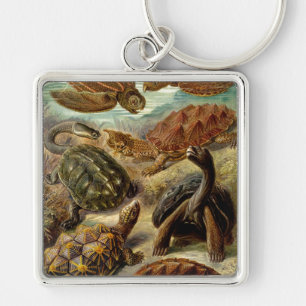 Chaveiro Haeckel Turtles
