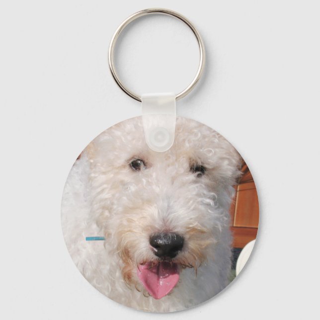 Chaveiro Hailey - Fox Terrier Foto-8 da Wire Fox (Frente)