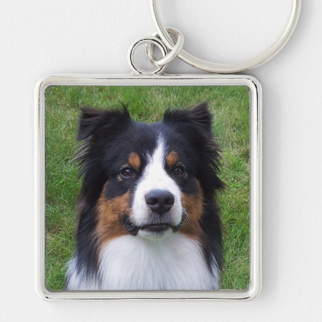 Chaveiro HALO o cão australiano (Frente)