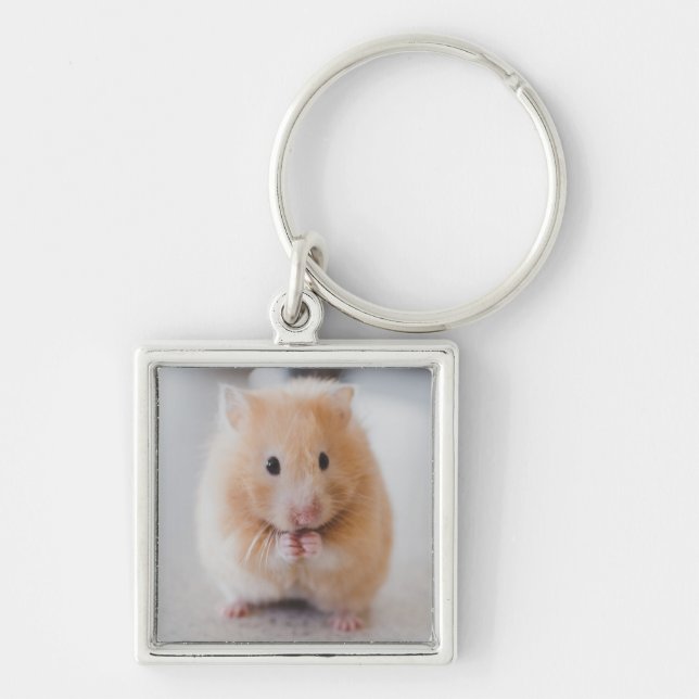 Chaveiro hamster (Frente)