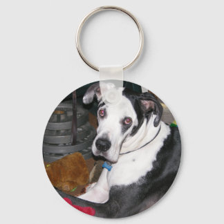 Chaveiro Harlequin Great Dane