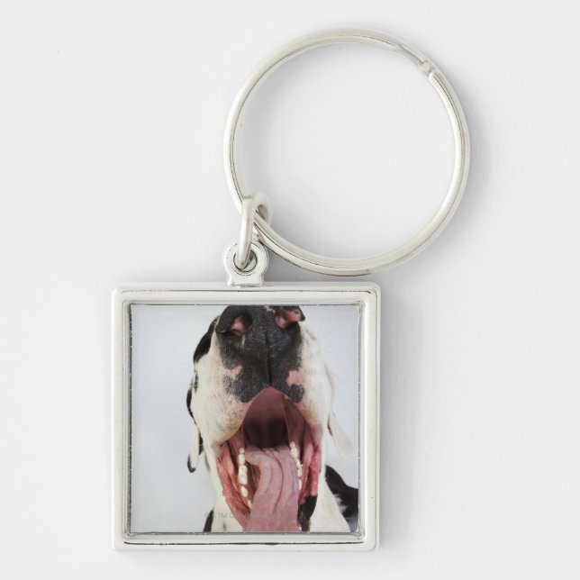 Chaveiro Harlequin great dane com boca aberta, fim-acima, (Frente)