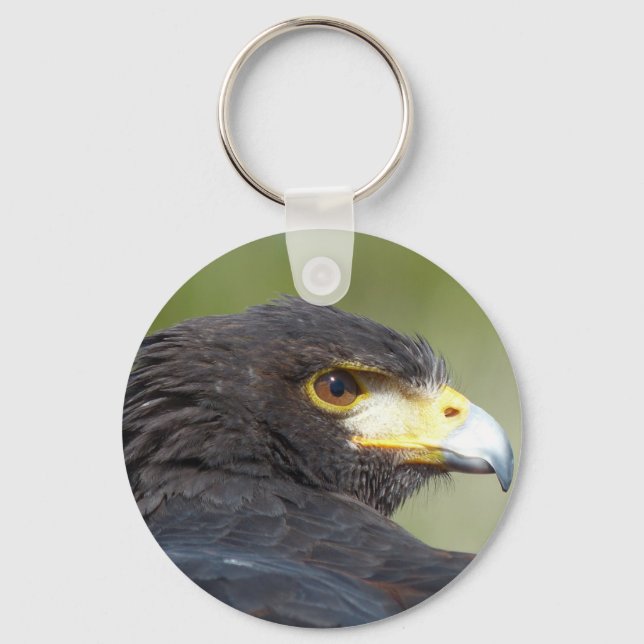 Chaveiro Harris Hawk (Frente)
