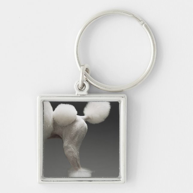 Chaveiro Haunches da caniche, no fundo cinzento (Frente)