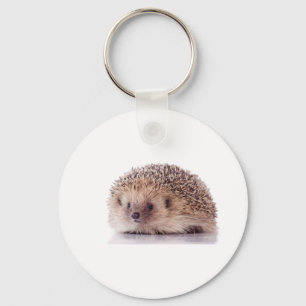 Chaveiro Hedgehog,