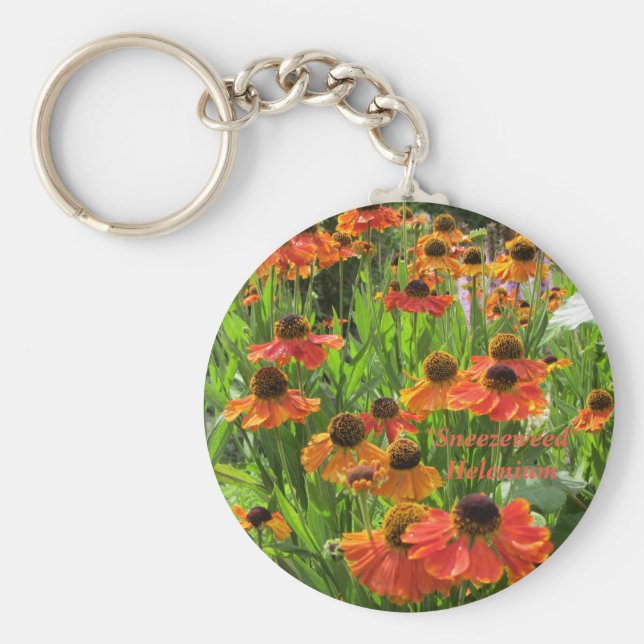 Chaveiro Helênio "Sneezeweed" (Frente)