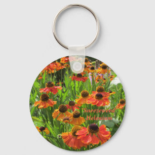Chaveiro Helenium "Sneezeweed "