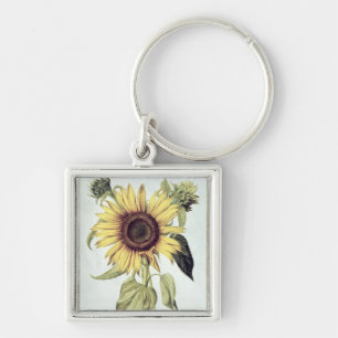Chaveiro Helianthus annuus 'de Velins du Roi Vol.36'