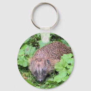 Chaveiro Herman Hedgehog