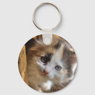 Chaveiro Heterochromia Calico Kitten