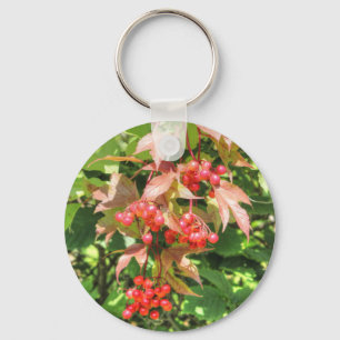 Chaveiro Highbush Cranberry