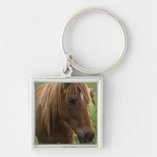 Chaveiro Horse Hello