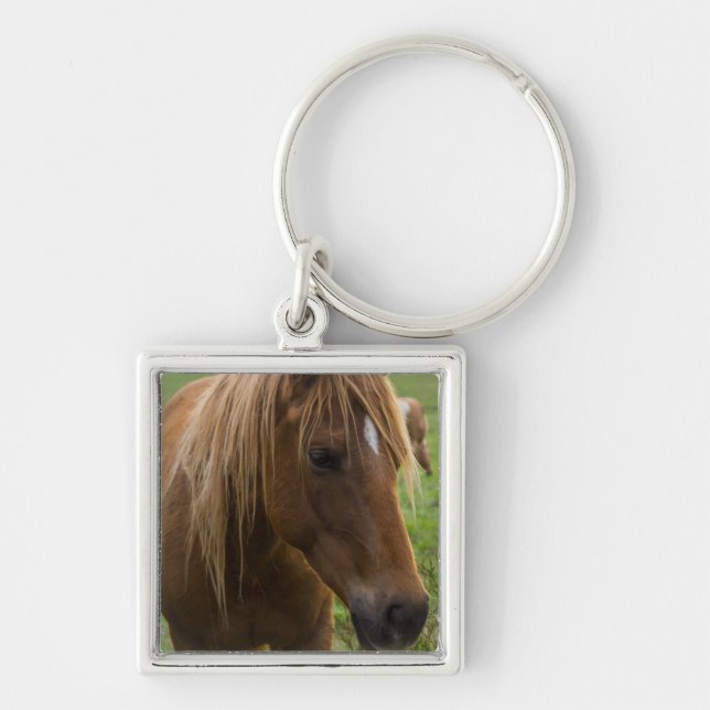 Chaveiro Horse Hello (Frente)