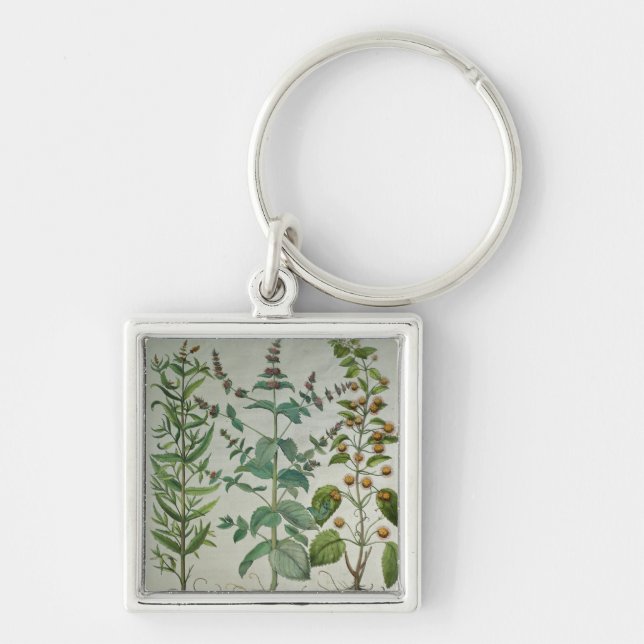 Chaveiro Hortelã: Crispa do Mentha (Frente)