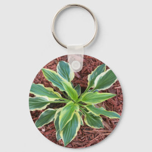 Chaveiro Hosta de Sun
