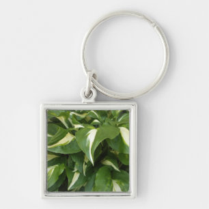 Chaveiro Hosta Leaves