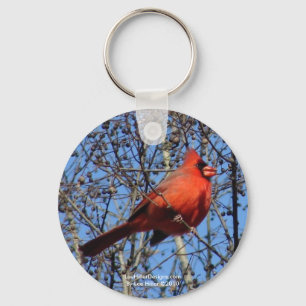 Chaveiro Hot Springs Mountain Promenade  Presentes Cardinal