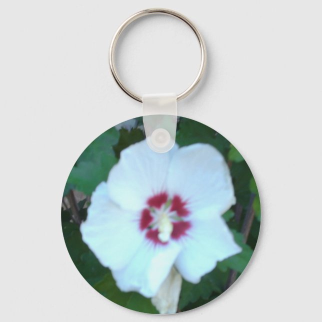 CHAVEIRO HPIM0580 (Frente)