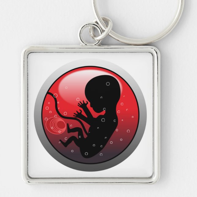 CHAVEIRO HUMAN BABY EMBRYO (Frente)
