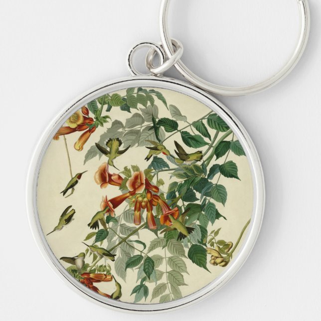 Chaveiro Hummingbird Ruby Throbon Audubon (Frente)