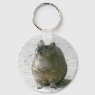 Chaveiro Hyrax de rocha