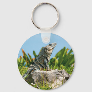 Chaveiro Iguana