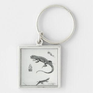 Chaveiro Iguana Shingled
