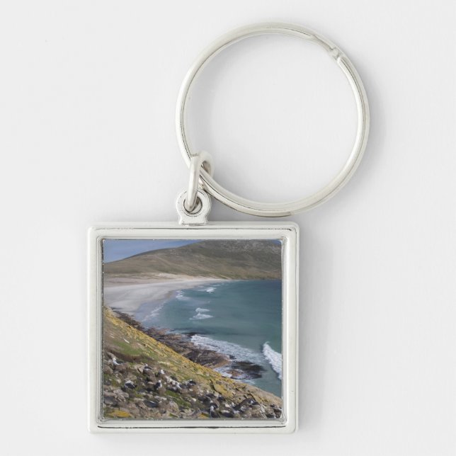 Chaveiro Ilhas Falkland, West Falkland, Saunders (Frente)