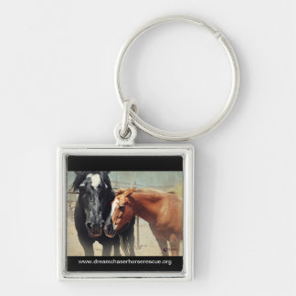 Chaveiro Ilusão & precipitação