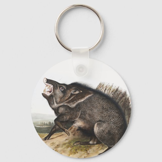 Chaveiro Ilustração Collared Peccary Dycoteles torquatus (Frente)