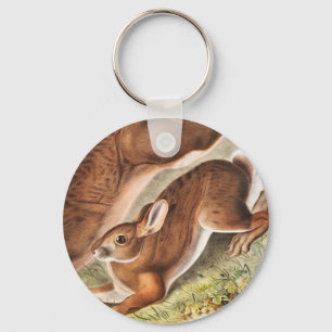 Chaveiro Ilustração de Lepus Americanus (norte Hare)