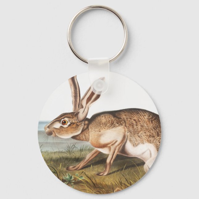 Chaveiro Ilustração do Coelho da Lepus Texianus (Frente)