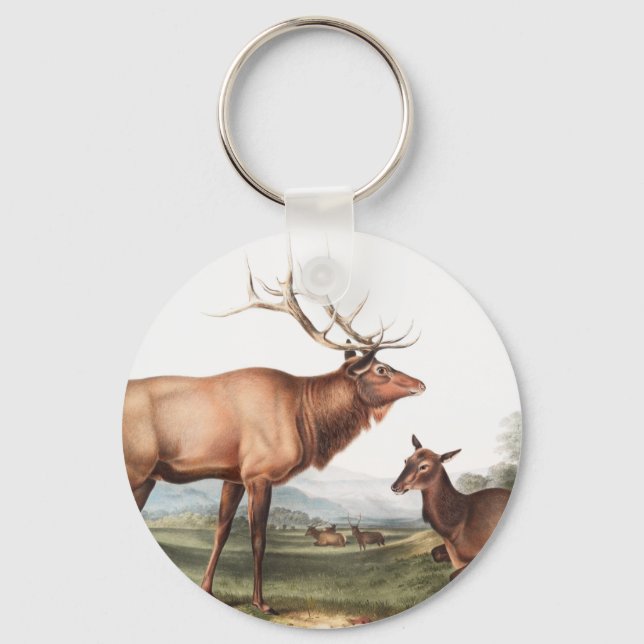 Chaveiro Ilustração do Elk Americano (Cervus Canadensis) (Frente)