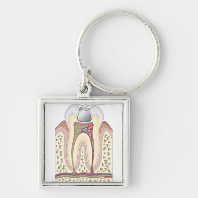 Chaveiro Ilustração do enchimento dental (Frente)