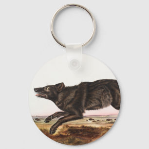 Chaveiro Ilustração do Lobo Negro-Americano (Canis lupus)