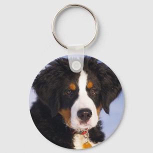 Chaveiro Imagem bonito do filhote de cachorro do cão de