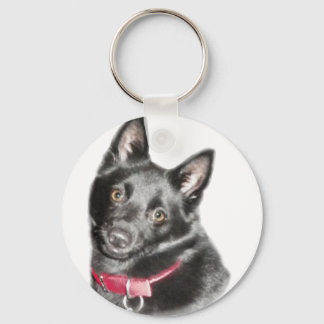 Chaveiro Imagem de Schipperke