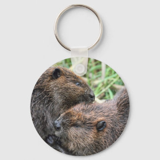 Chaveiro Imagem do Alcance de Beavers