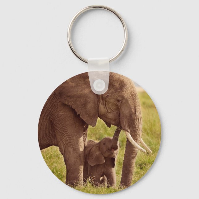 Chaveiro Imagens Getty | Elefante e bebê (Frente)