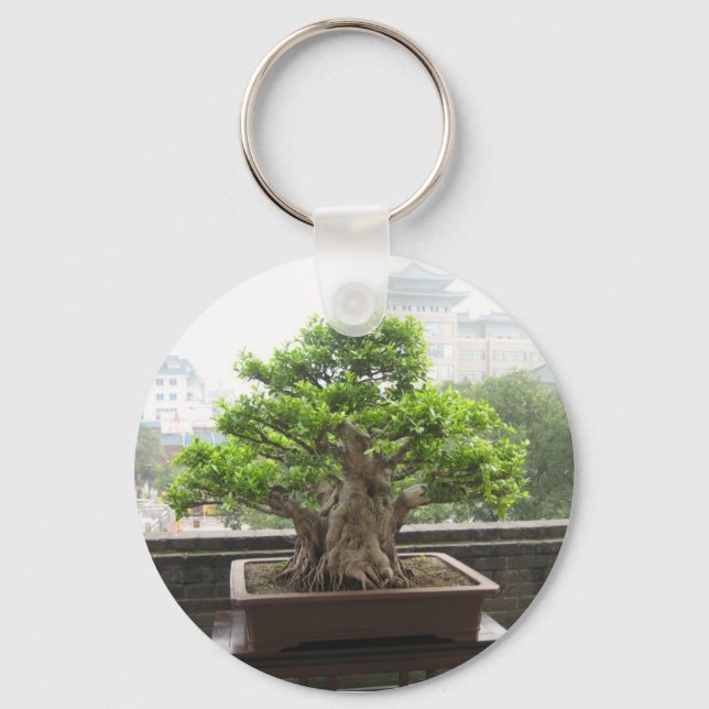 CHAVEIRO IMG_2887 (Frente)