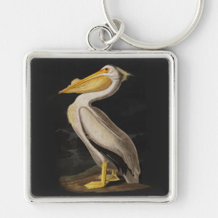 Chaveiro Impressão de Pelicano Branco de Audubon