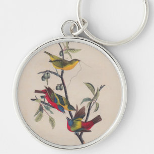 Chaveiro Impressões de Audubon de Bunting Pintados