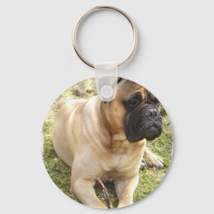 Chaveiro inglês do Mastiff